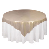 Polyester 72"x72" Table Overlay Square Tablecloth Blush - Sequin Dots Wrinkle-Free Table Cover